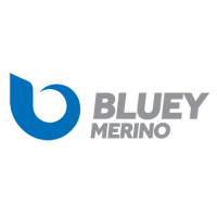 Bluey-Logo-Landscape-sq