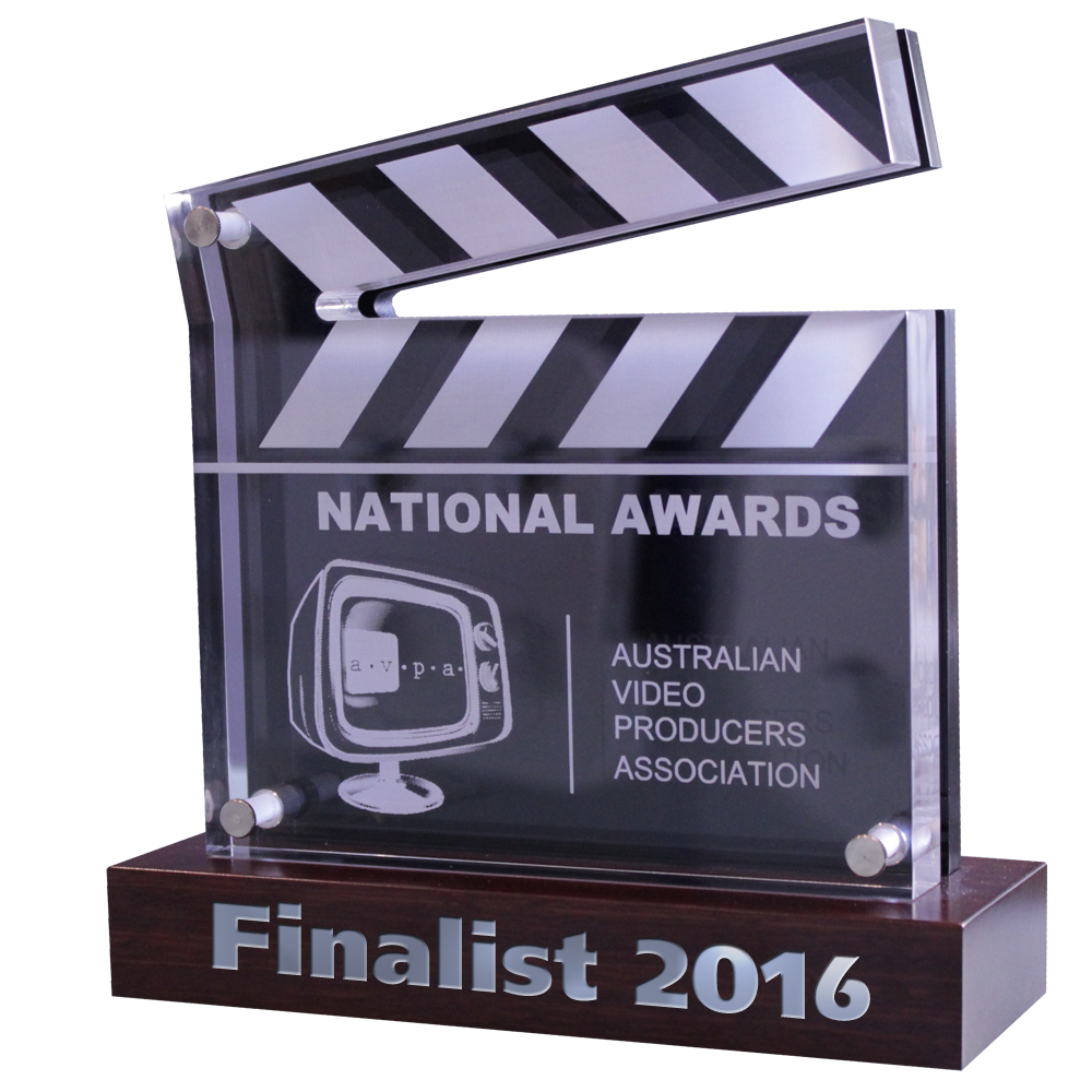 AVPA-Award-finalist2016-angle